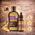 Pack Shampoo + Sérum Anticaída de Jengibre | Disaar Hair Care